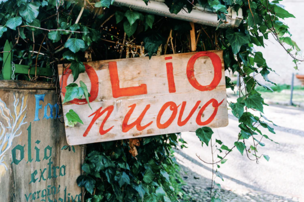 How to choose which cooking oil to use Cole & Mason UK