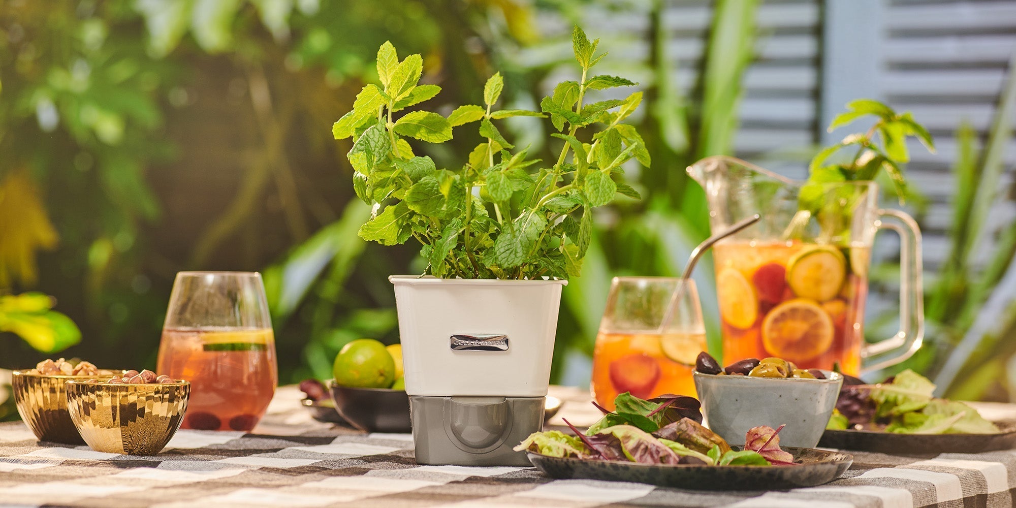 What Are the Best Ways to Use Fresh Mint?