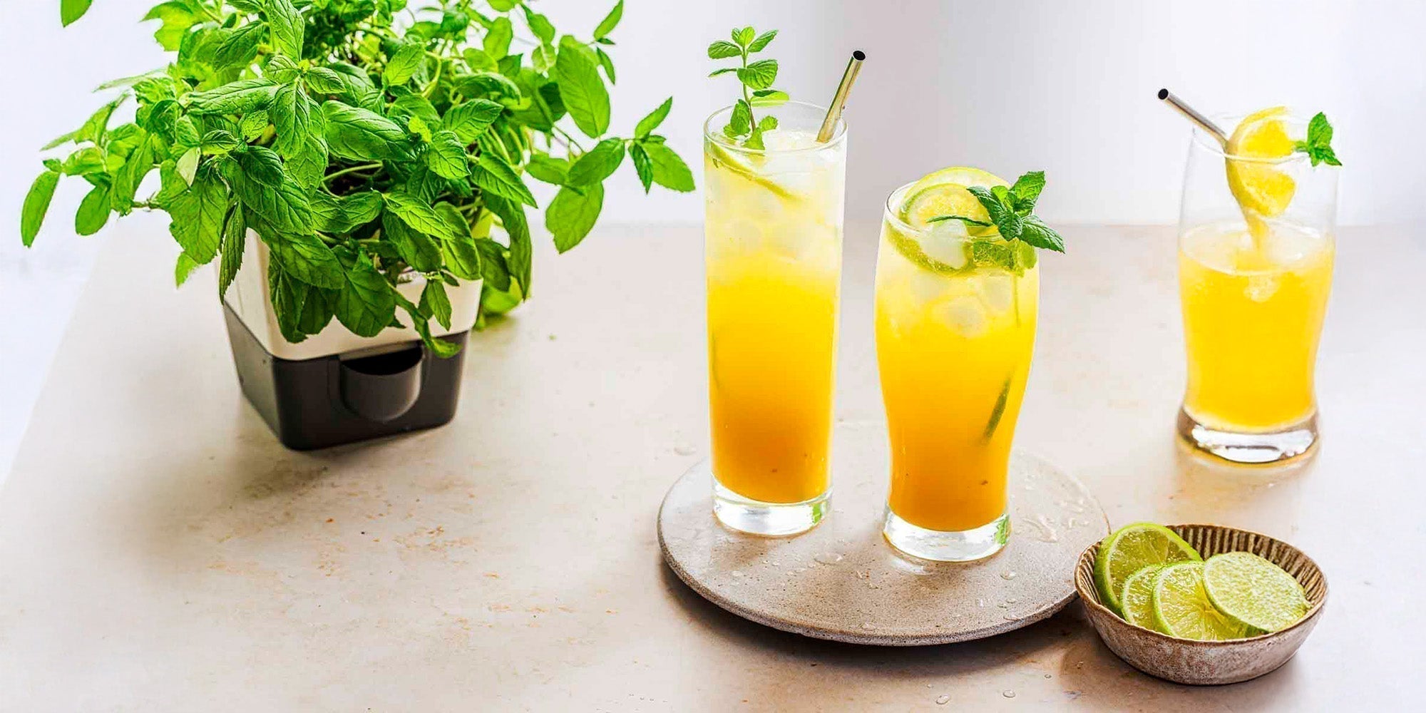Mango Mojito Cocktail or Mocktail